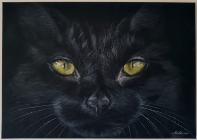 AliceZaharia_150_105mm