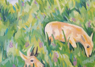 Louisa Long rewilding