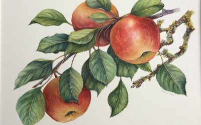 Botanical Treasures: Flowers and fruits on porcelain.