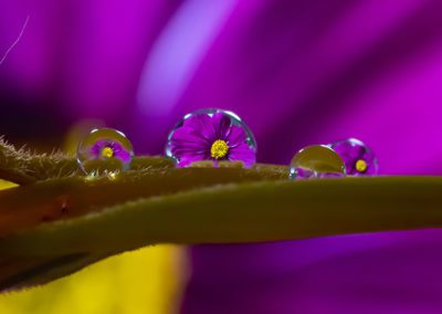 Undercroft Exhibition charlie1