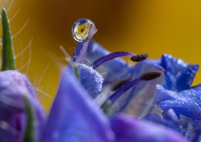 Undercroft Exhibition - Charlie